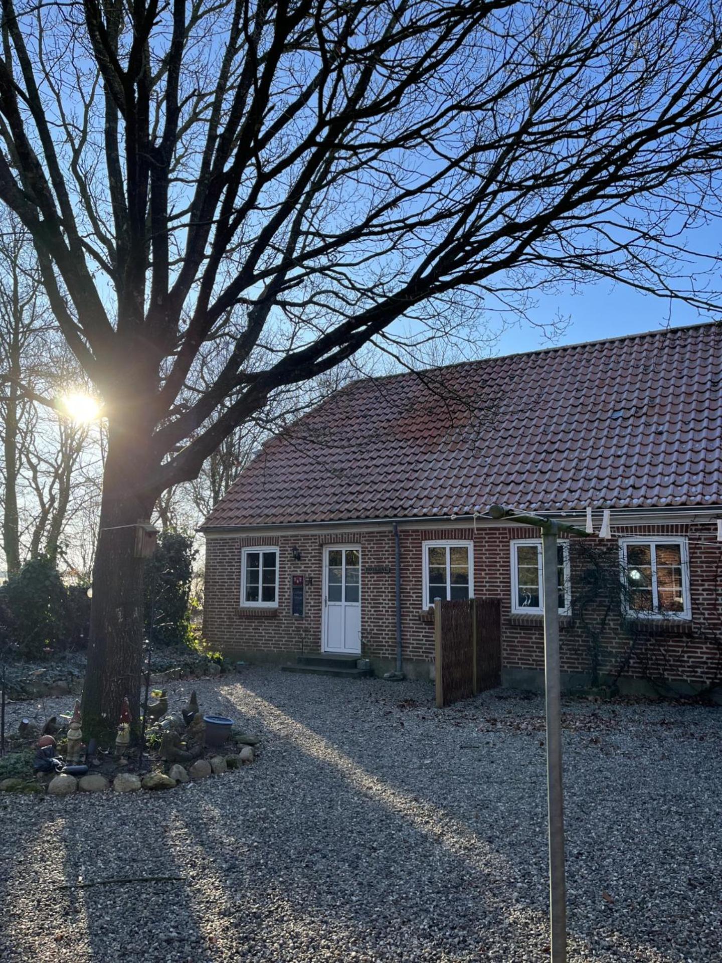 Familiehuis Boysen Appartementen Ribe Exteriör bild